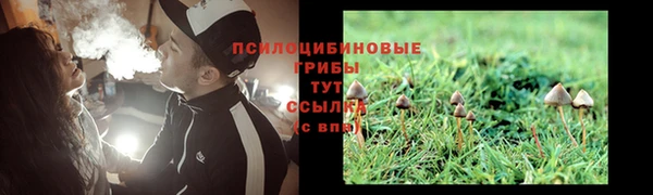 молекула духа Магас