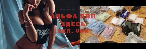 сатива Магадан