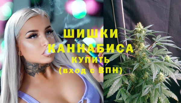 молекула духа Магас