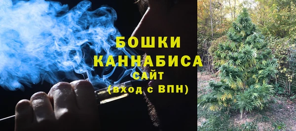 сатива Магадан