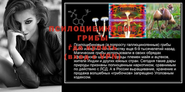 сатива Магадан