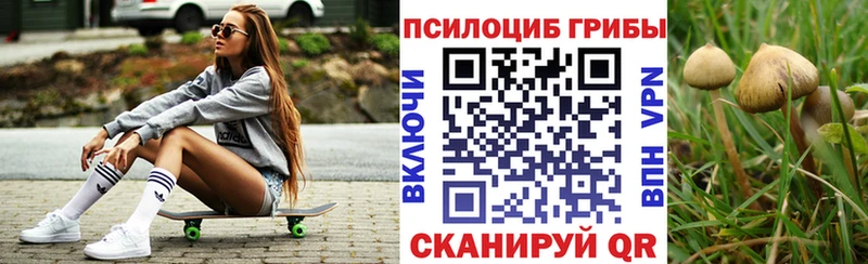 Купить закладки  Магадан  Псилоцибиновые грибы прущие грибы 